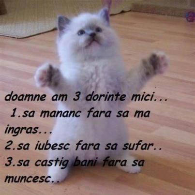 Diverse - 7349705118834855185321877025983n.jpg